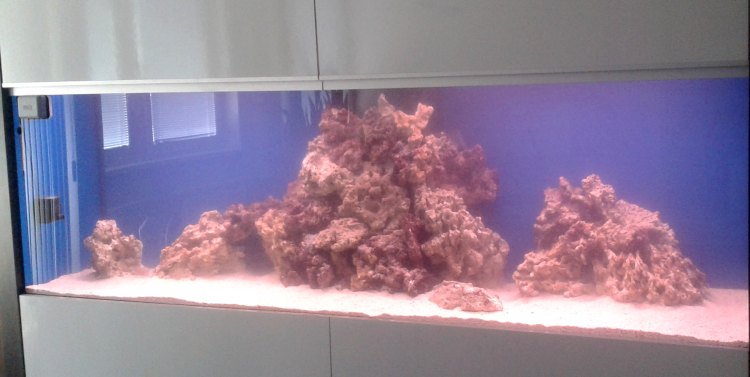 morske-akvarium-700-napustene